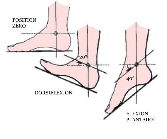 Fitpro étirement du quadriceps et douleurs aux genoux. Flexion plantaire et dorsiflexion